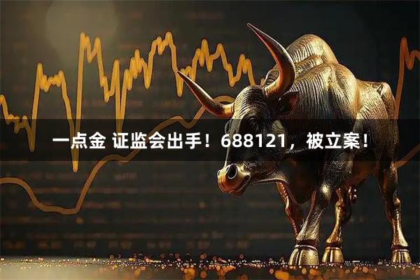 一点金 证监会出手！688121，被立案！