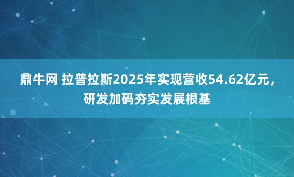 鼎牛网 拉普拉斯2025年实现营收54.62亿元，研发加码夯实发展根基