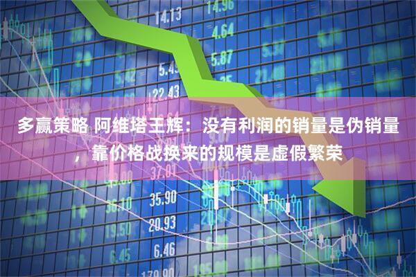 多赢策略 阿维塔王辉：没有利润的销量是伪销量，靠价格战换来的规模是虚假繁荣
